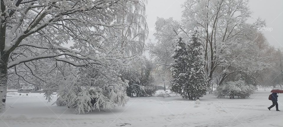 snowy street view march weather