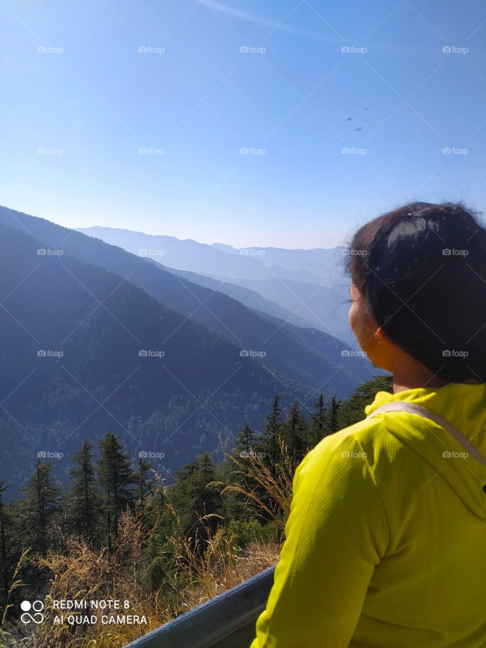 Green Vally, Shimla: Mountains are one of the beautiful portrait of nature.