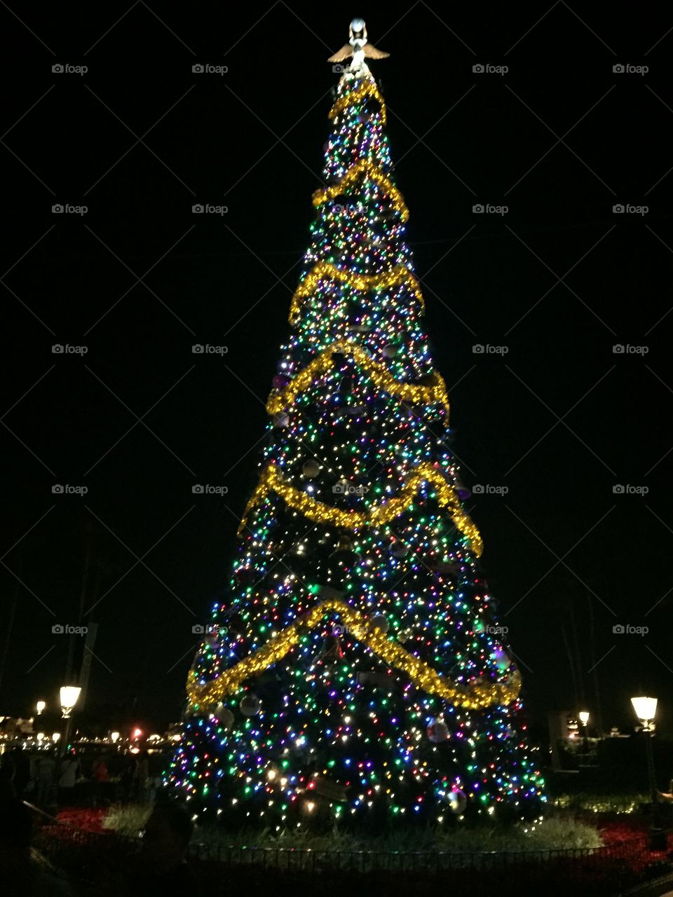 Epcot Christmas tree