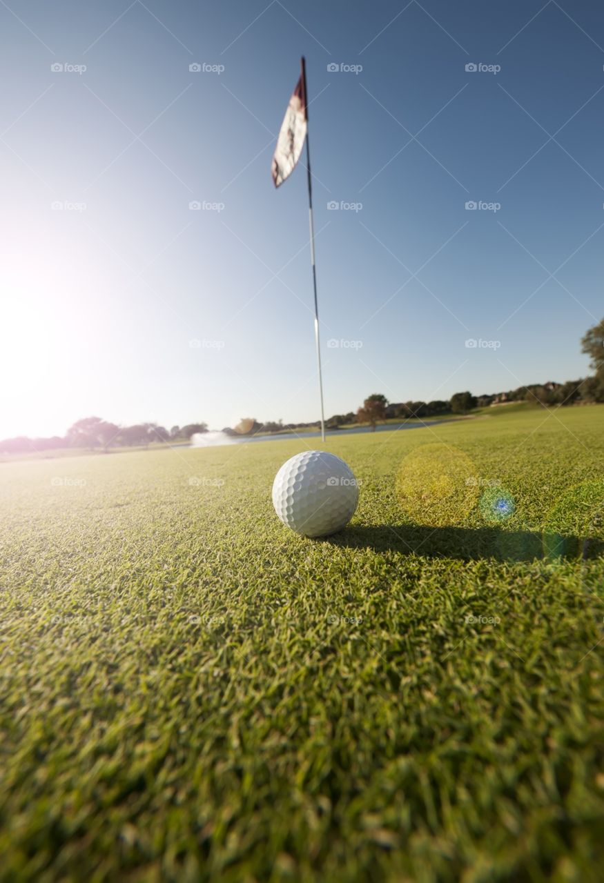 Golf ball on green