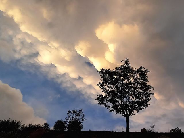 lovely clouds