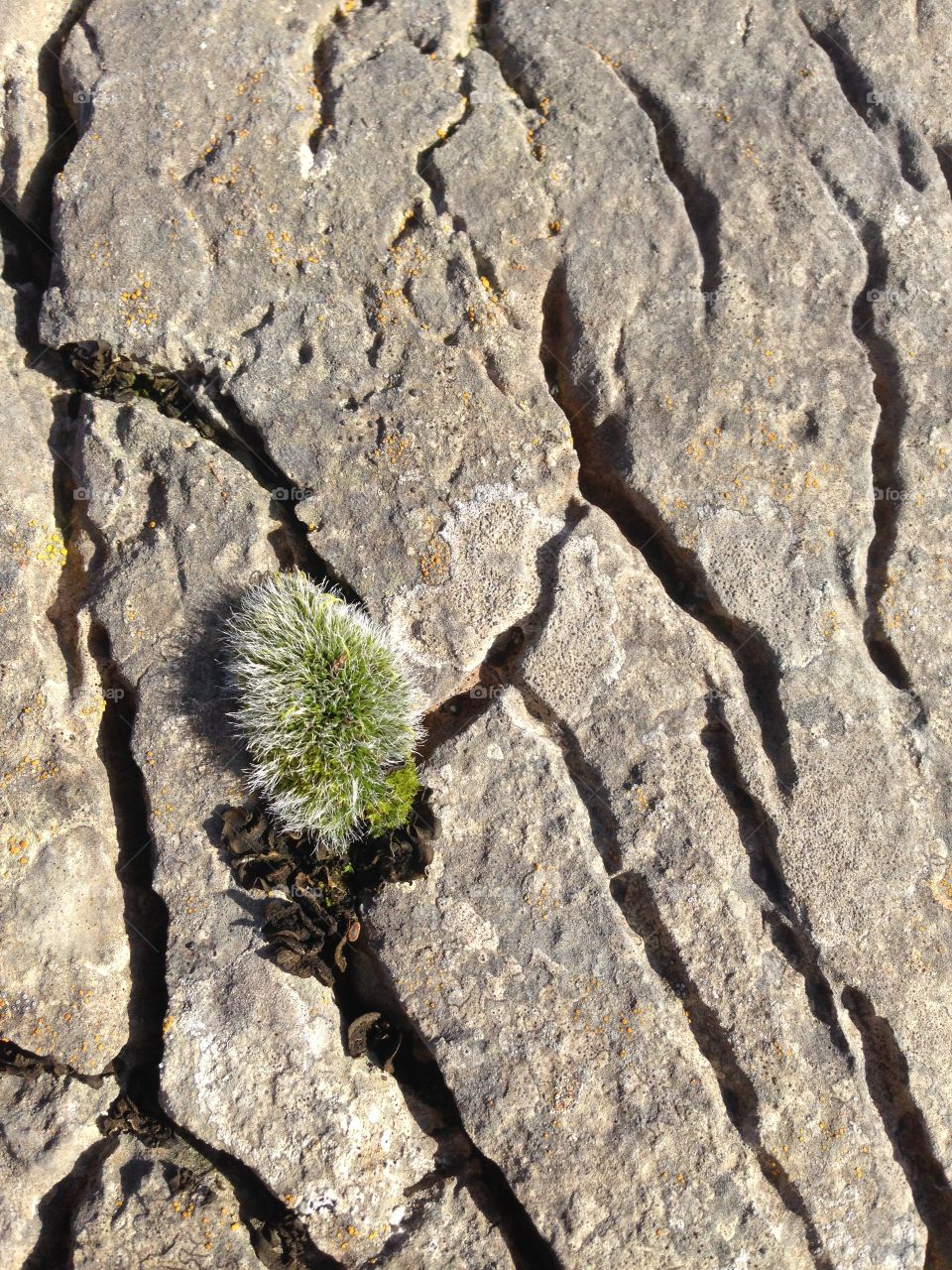 Irish stone wall