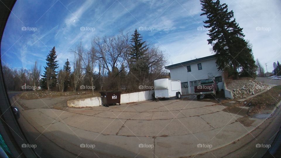 Tree, No Person, Wood, Landscape, Snow