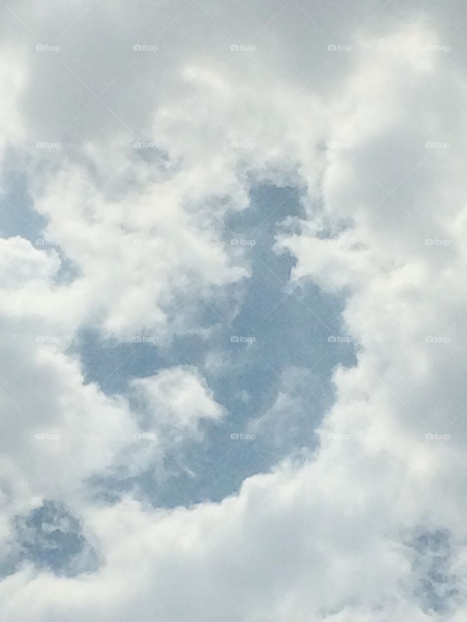 Bird shape in the cloud