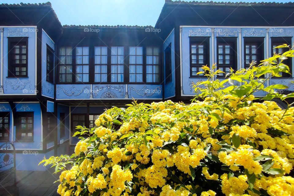 Complementary Colors