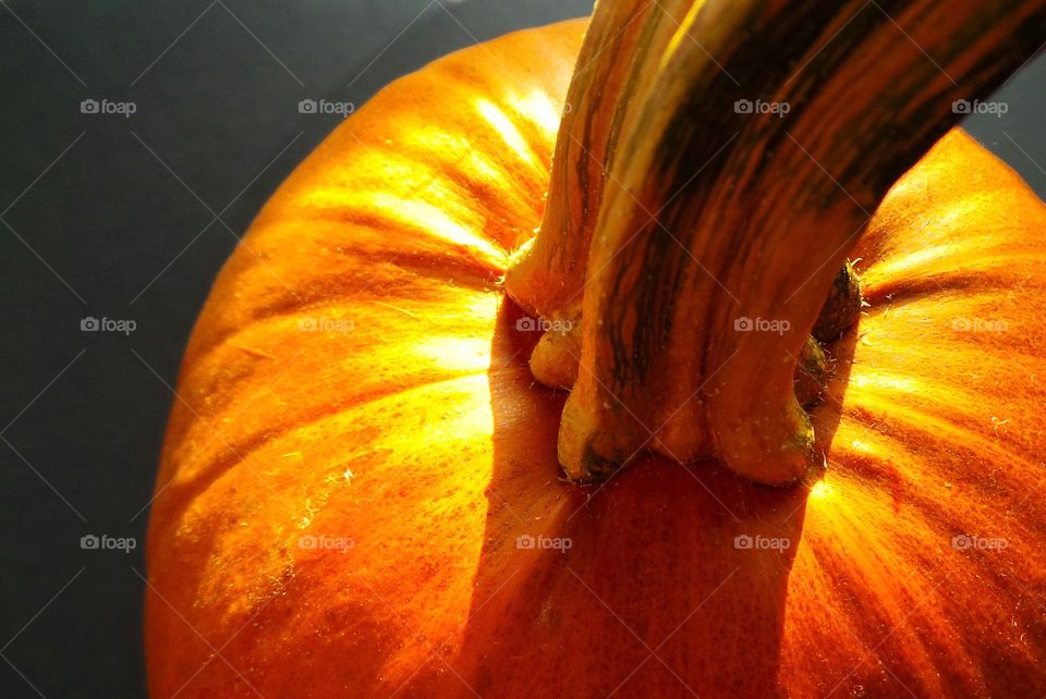 Extreme close-up of pumpkin