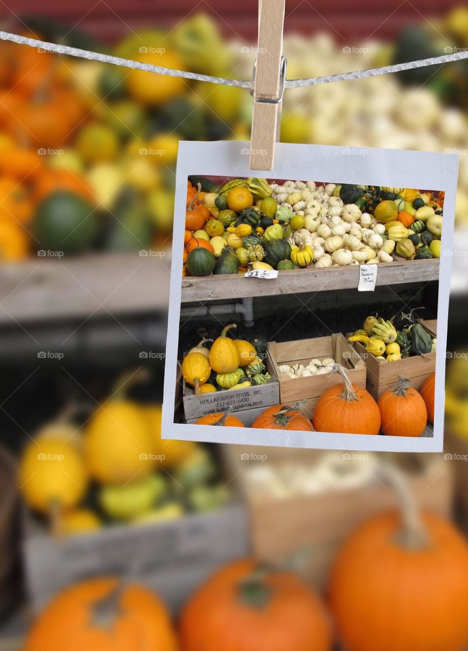 Farm Stand