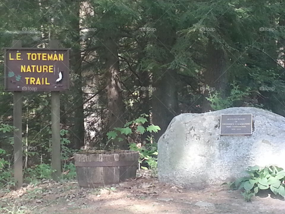 nature trail. at a park in my town