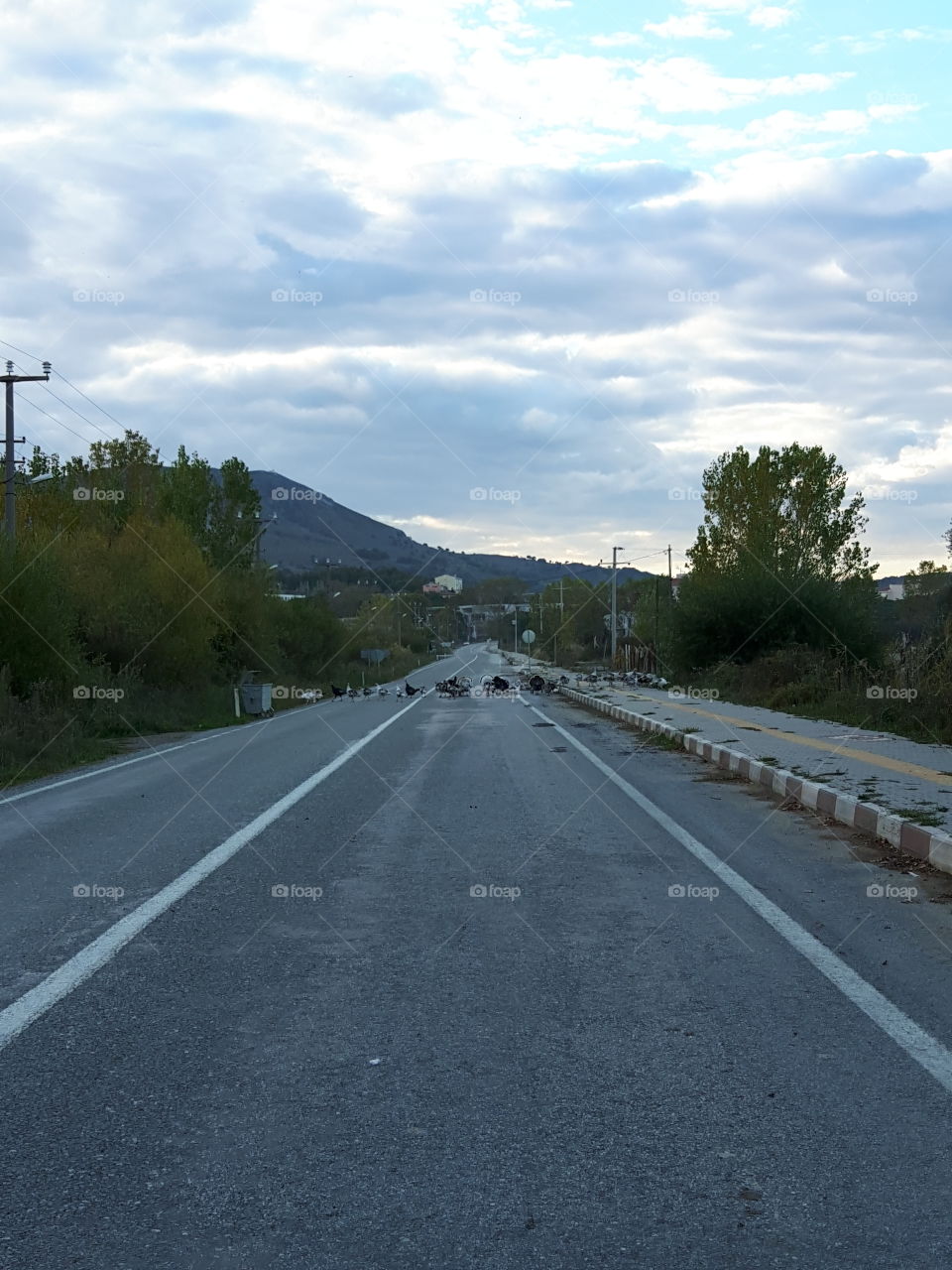 road