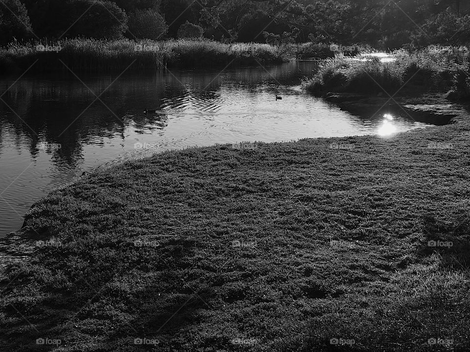 The serene Deschutes River in Central Oregon on a sunny summer day. 