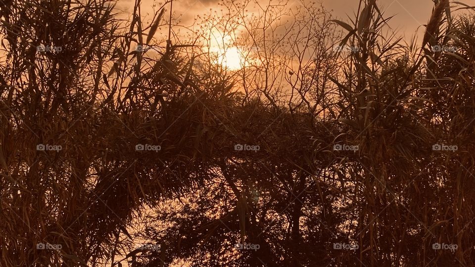 Sunset colors are happening earlier each Day Winter Approaches and Foliage begin to Deteriorate with Time. 