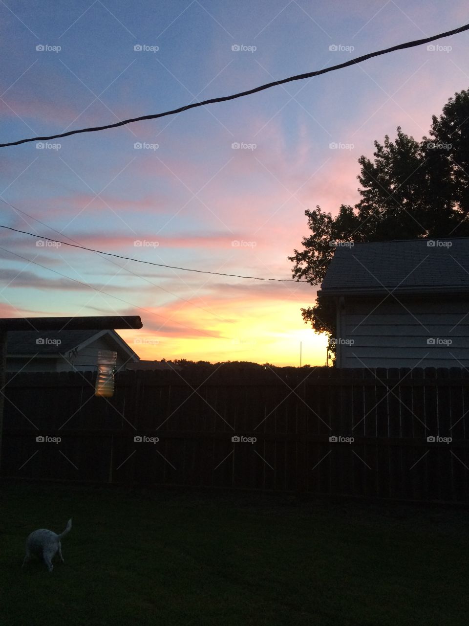Backyard sunset