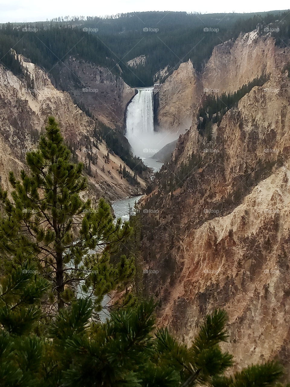 water fall s at Yellowstone National Park