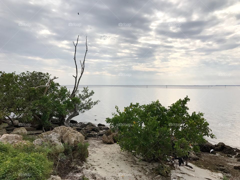 View of landscape and sea