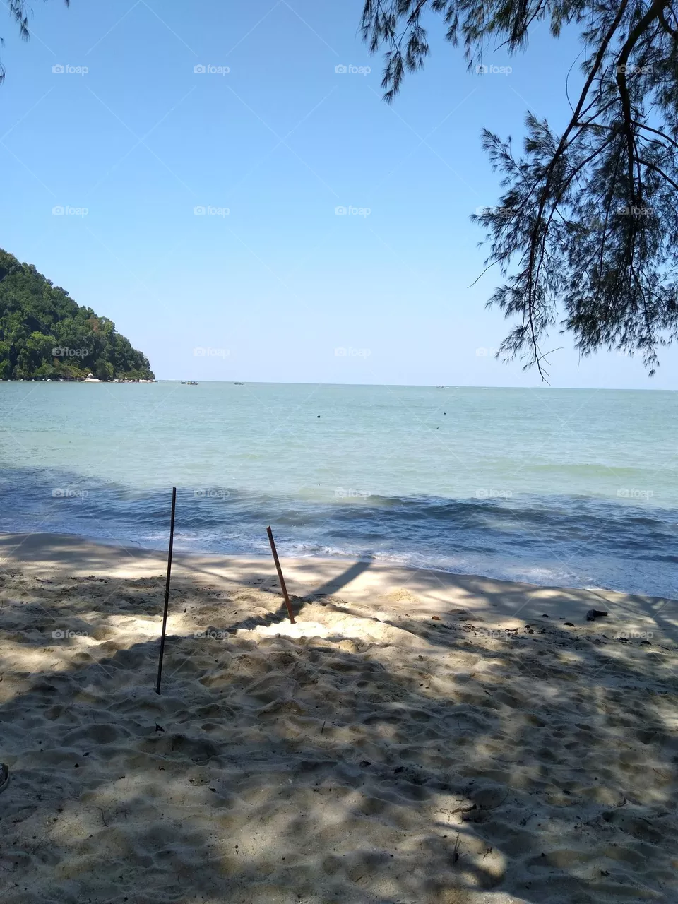 monkey beach