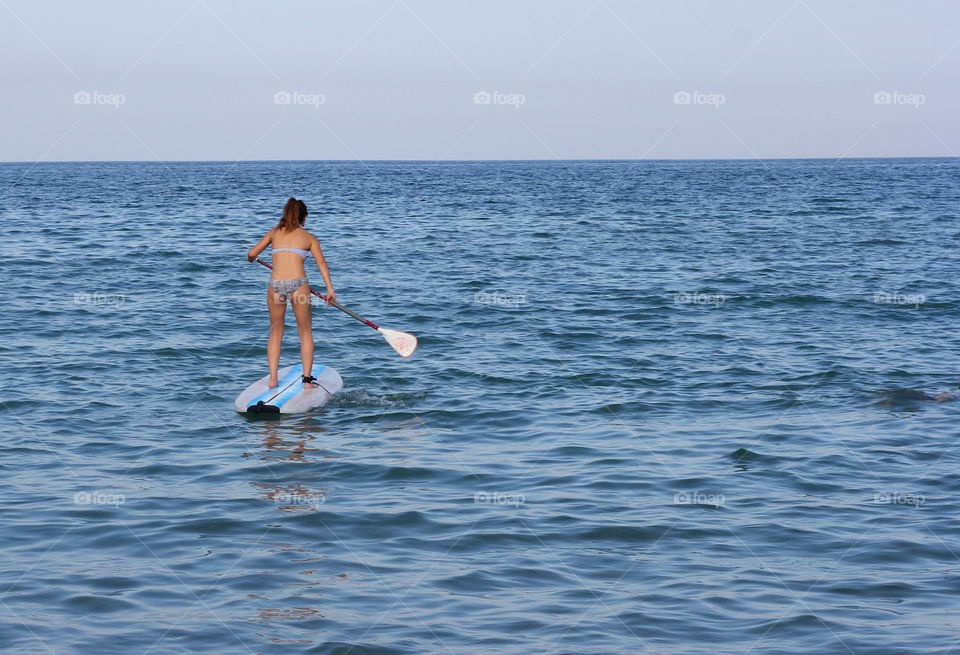 Sea life, surfing