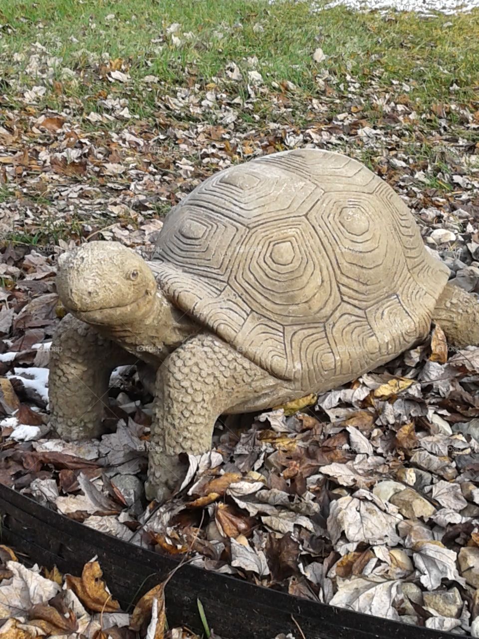What a beautiful tortoise statue!