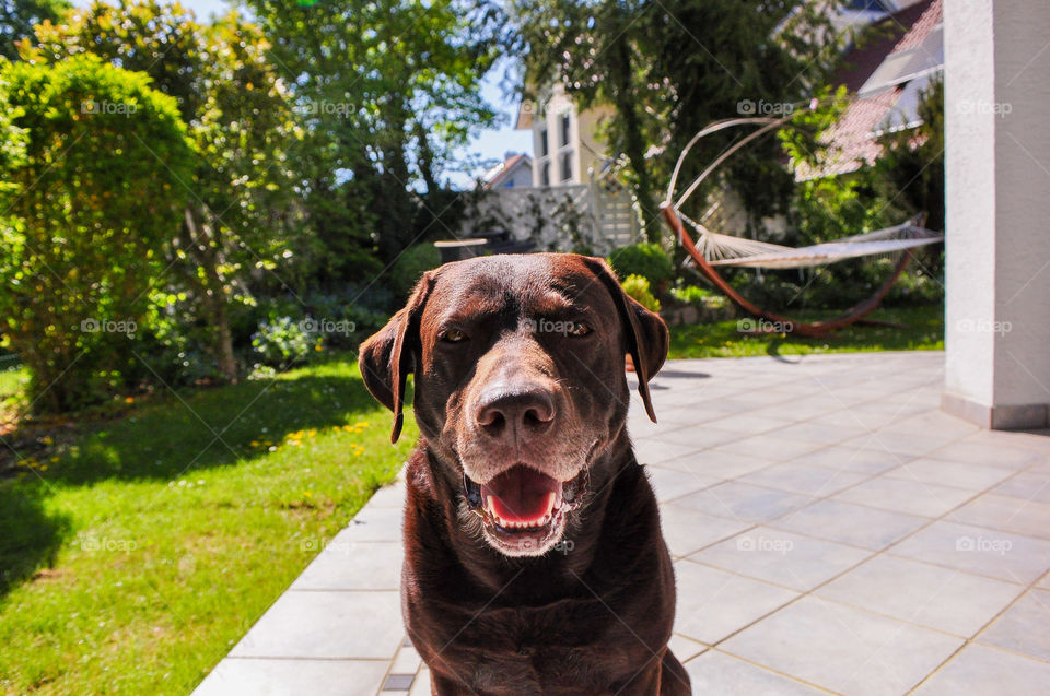 Such a happy and good boy