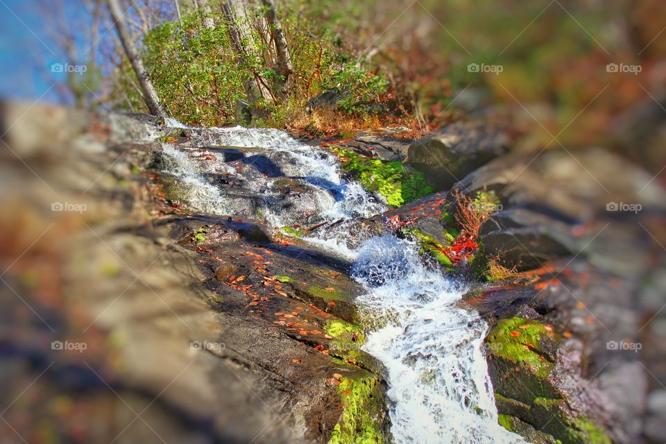 Waterfall Along a Creek