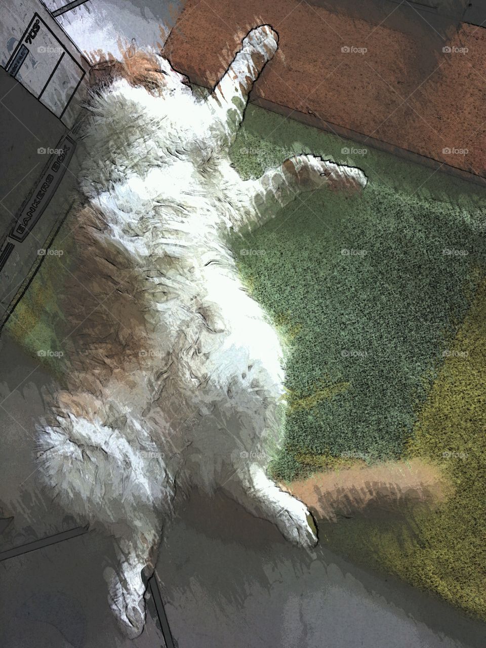 No Person, Art, People, Mammal, Water