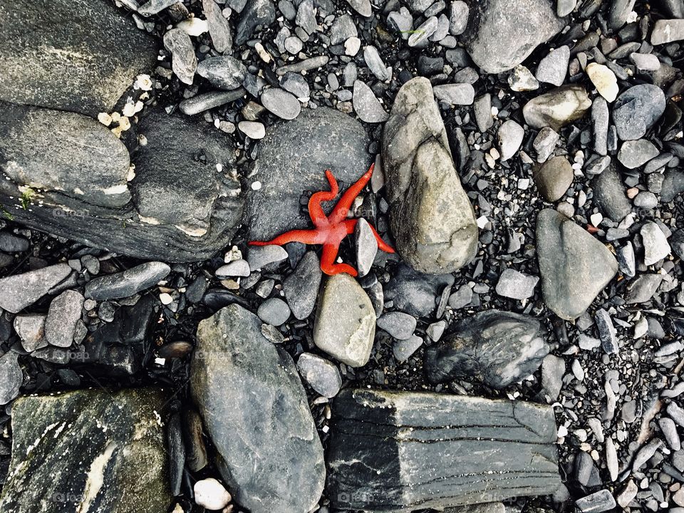 Nature star red Rock 