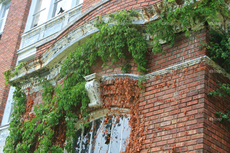 Abandoned School 