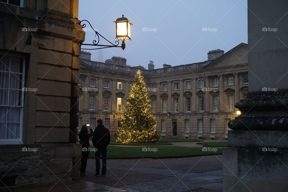 Christchurch Christmas Tree