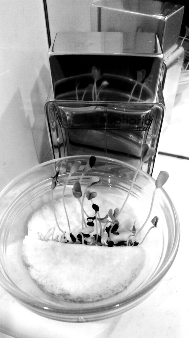 Parfums