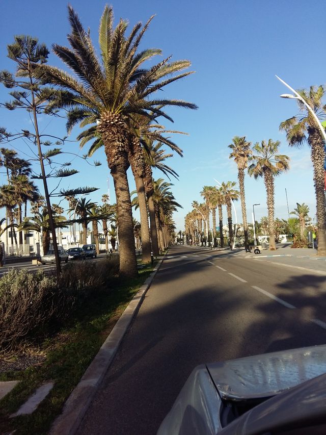 Nice day