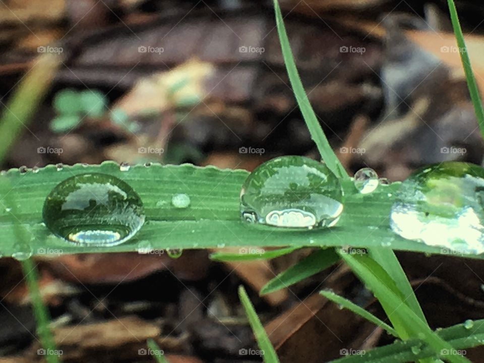 Droplets 