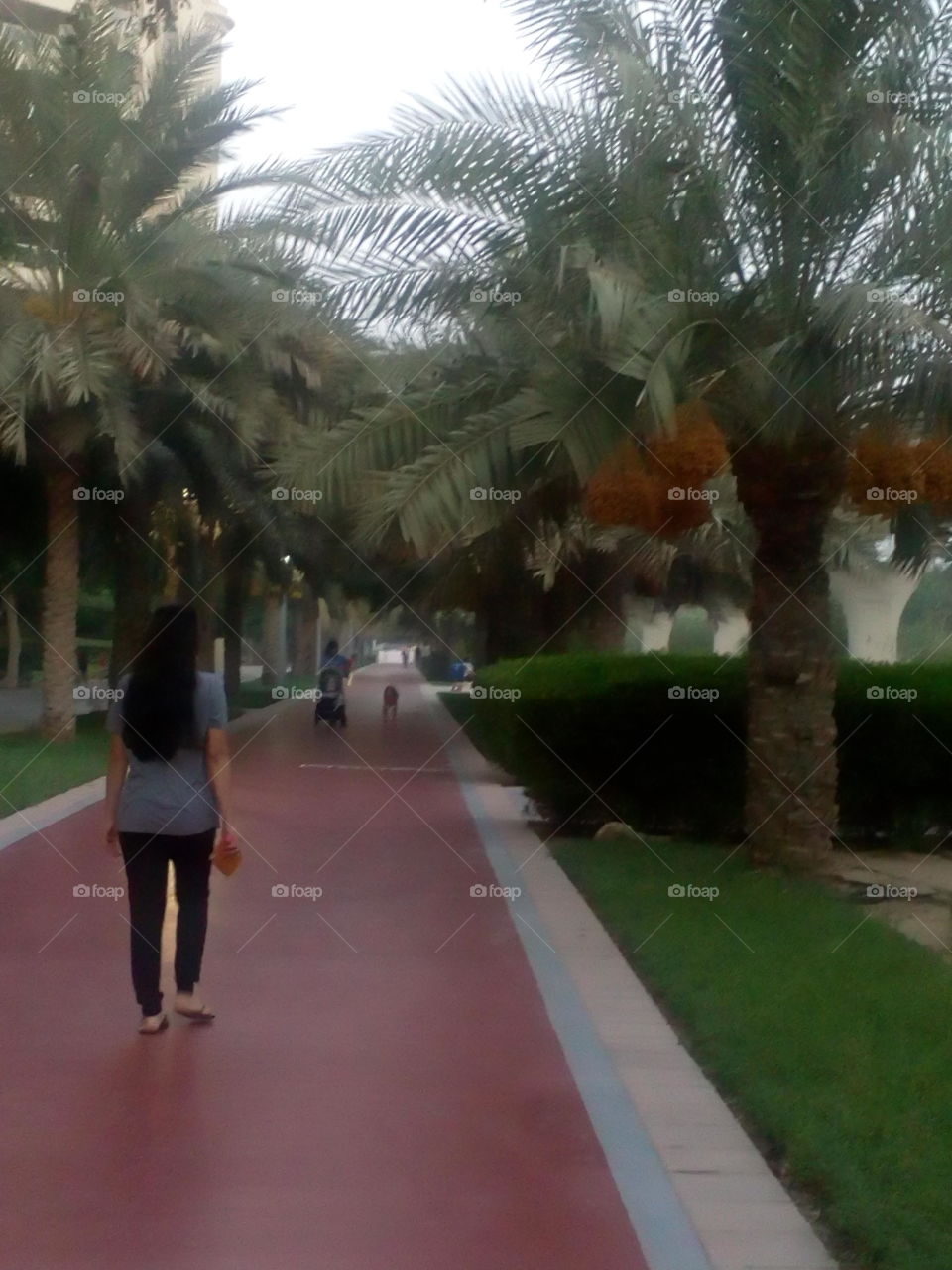 nice park to make sports. with a very nice and attractive palm trees.