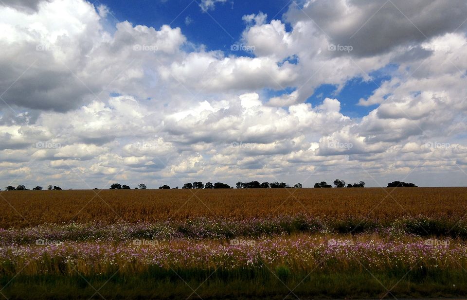Clouds over agriculture field