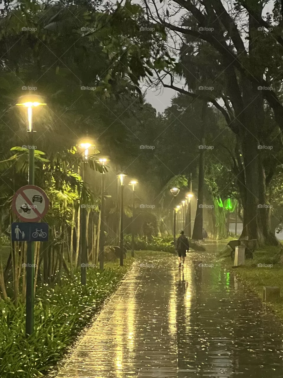 Lonely in the rain!