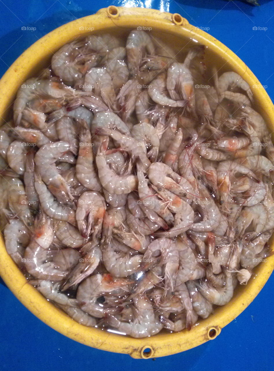Elevated view of prawns in yellow bucket