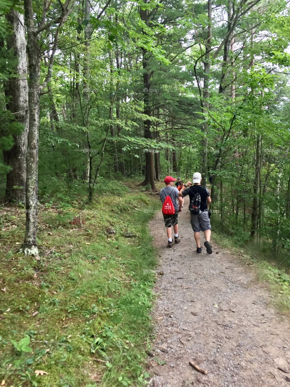 Wooded hike
Pennsylvania 