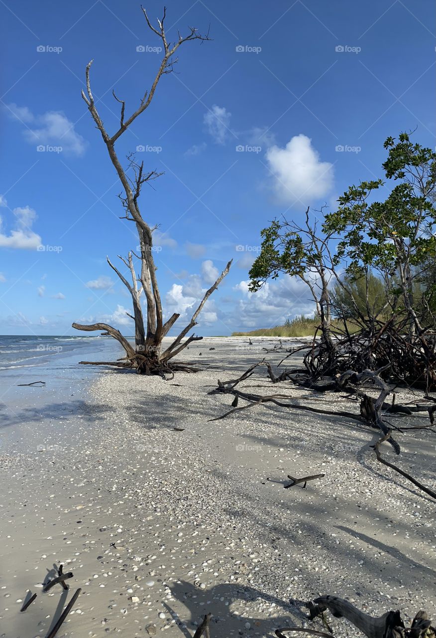 Enjoying this uninhabited island