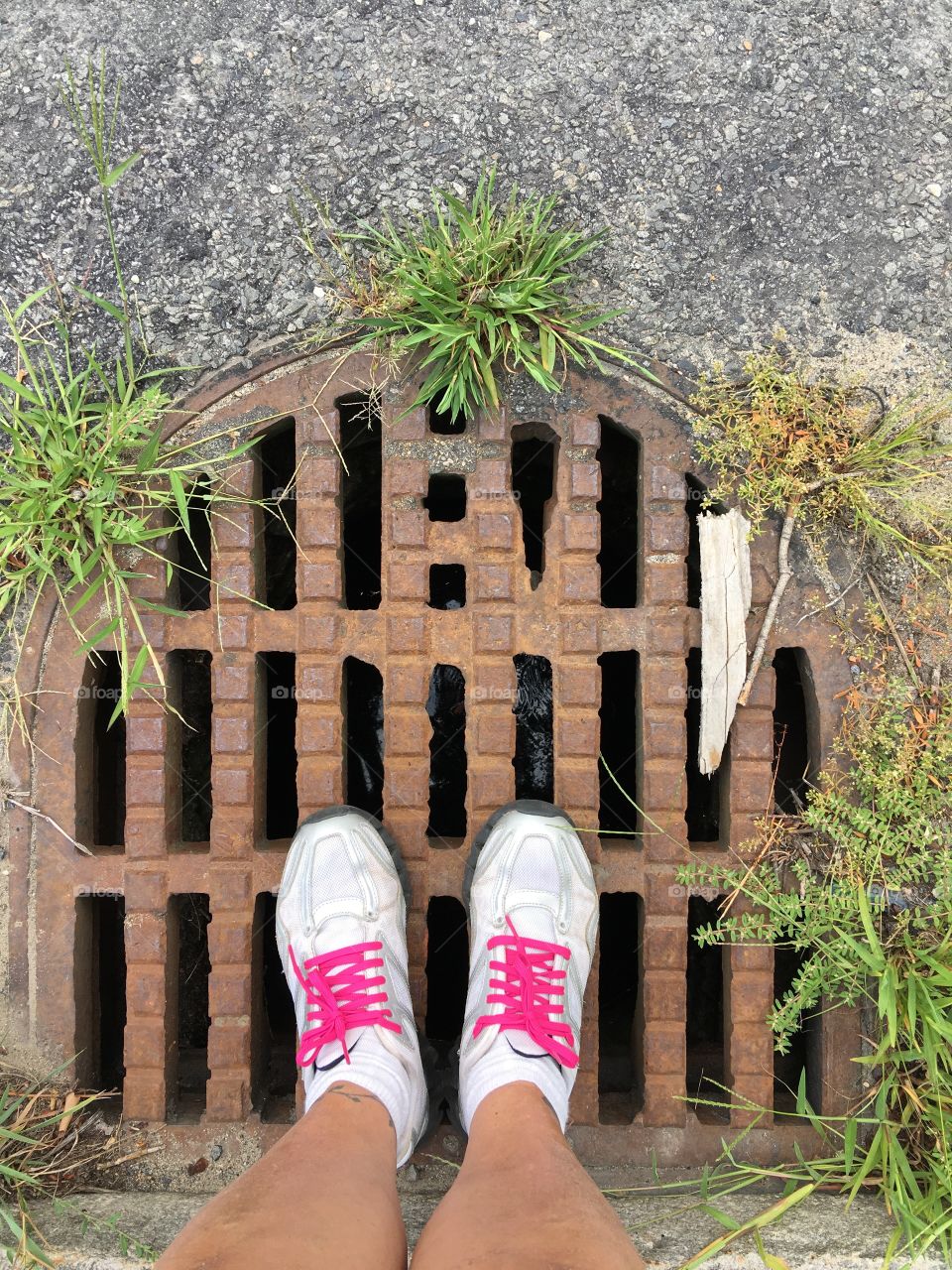 Standing on drainage grate before crossing street.