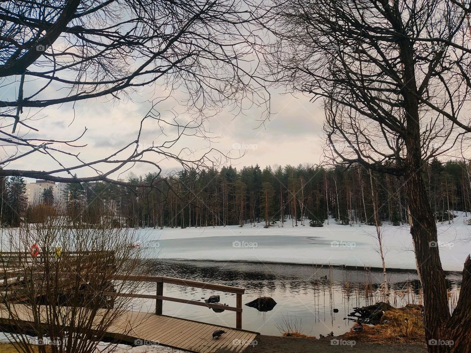 Finland's beauty 😍😍 snow ❄️