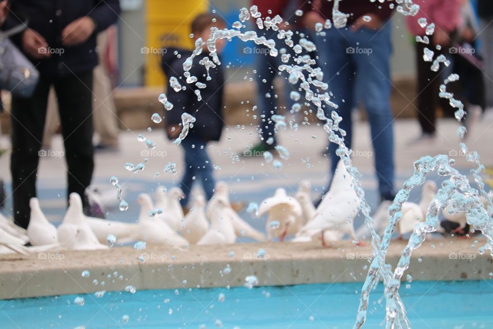 A stream of water from the fountain