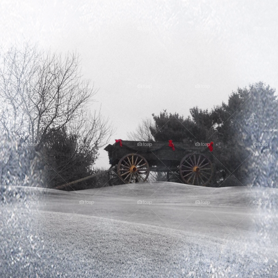 christmas hill farm wagon by iphonographer4