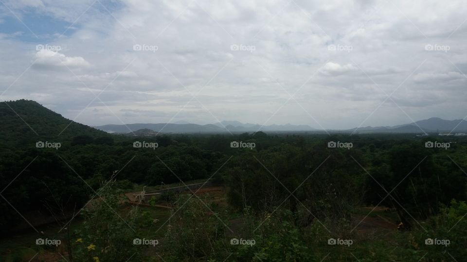 top view of forest at mountains