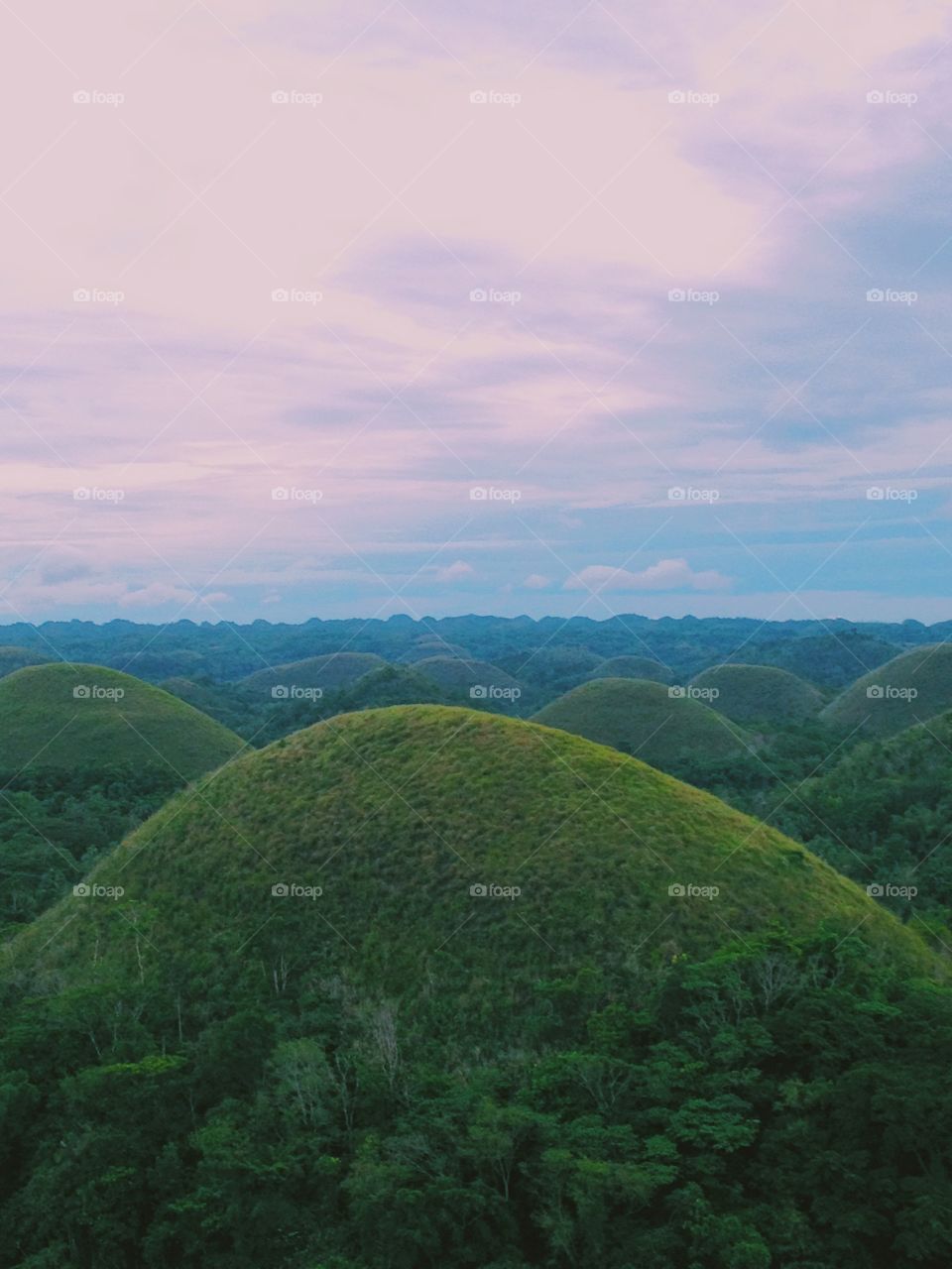 Chocolate Hills