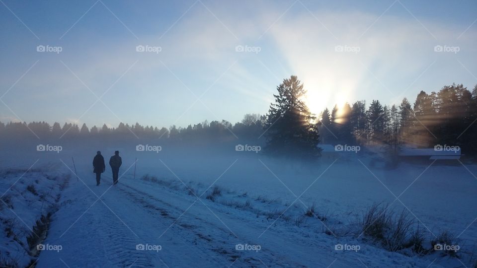 Walking in the winter wonderland 