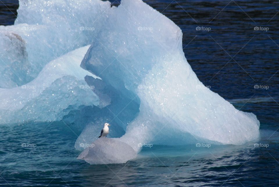 Glacier ice chunk 