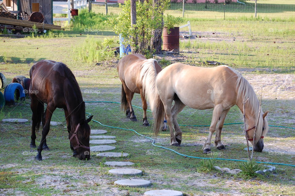 hay burning yard art