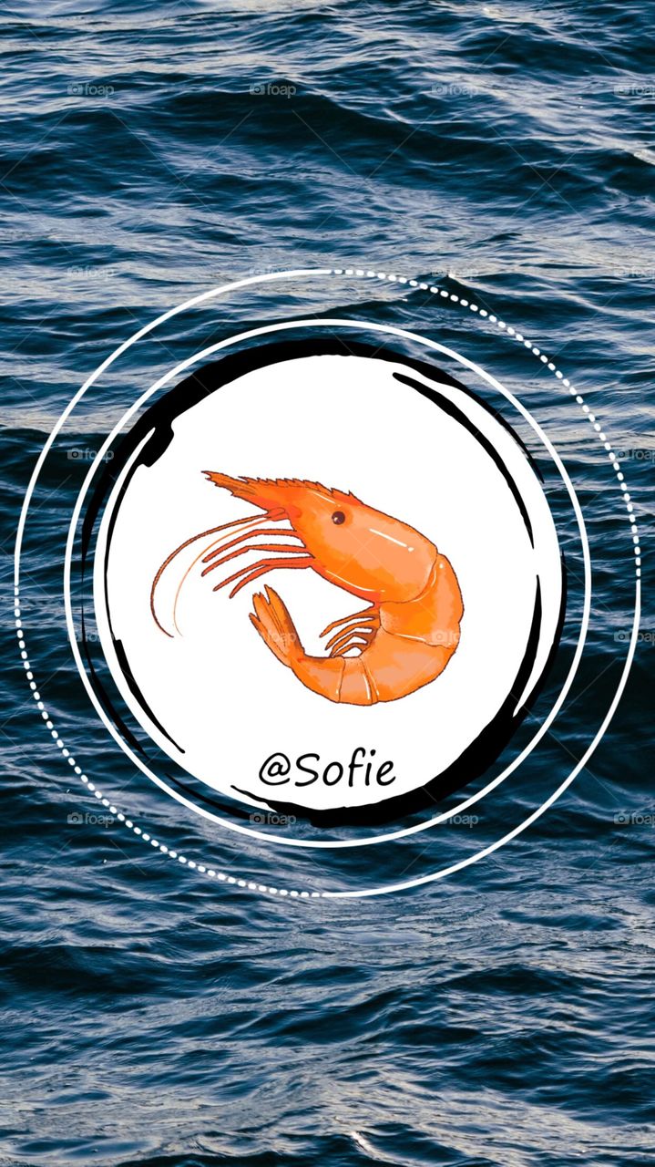 Logos ~ Application « StoryArt »