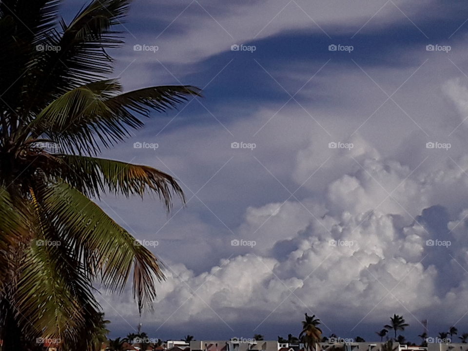 los trópicos son increíbles no solo por su naturaleza, sino también por los dibujos del cielo en el cielo, el dibujo parece una hoja de palma