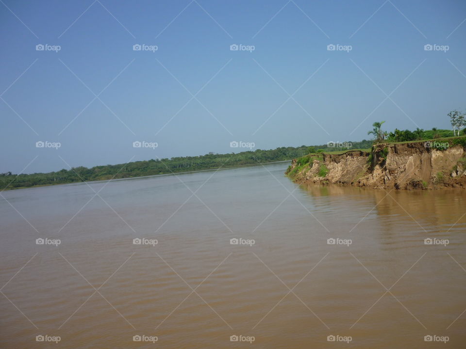 árvores no rio Amazonas