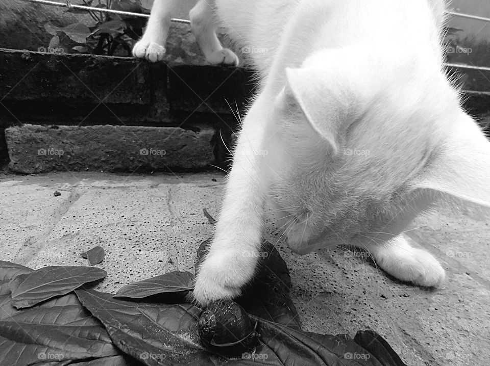 playing with my friend