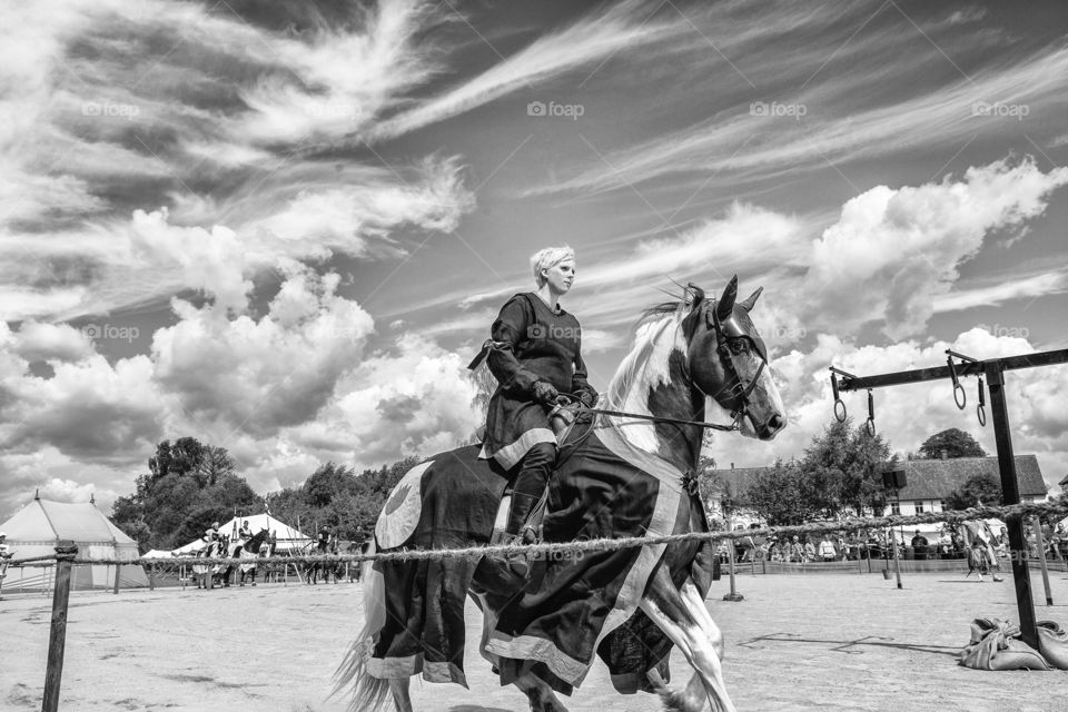 majestic knight. Took this on a knight turnament in Hovdala